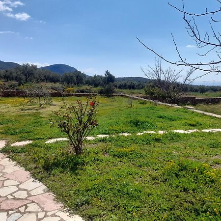 “Villa Othon-Leni” Paralia Demonias Dış mekan fotoğraf