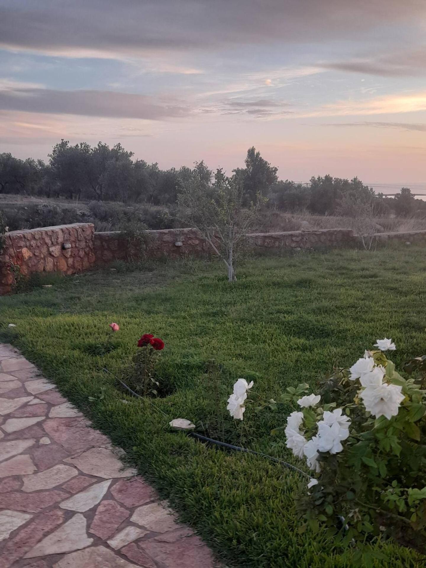 “Villa Othon-Leni” Paralia Demonias Dış mekan fotoğraf