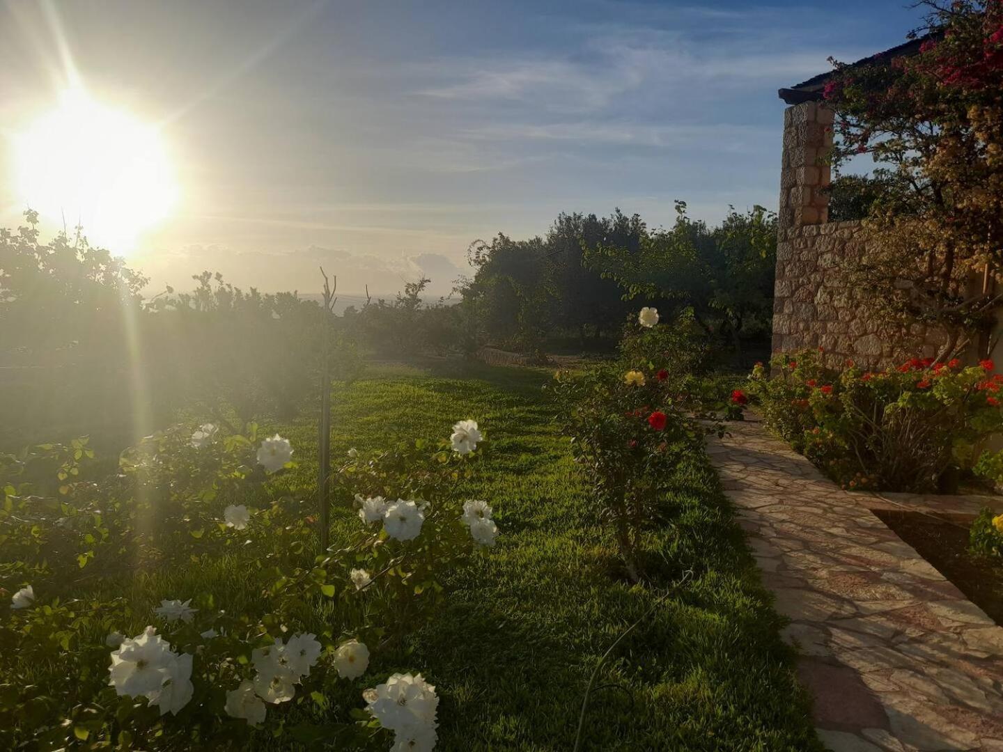 “Villa Othon-Leni” Paralia Demonias Dış mekan fotoğraf